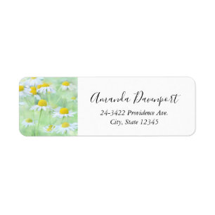 De jolies marguerites dans un champ