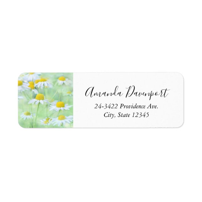 De jolies marguerites dans un champ (Devant)