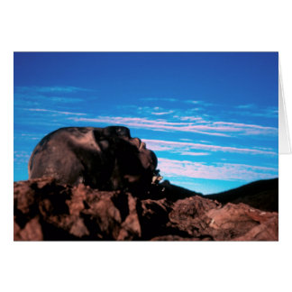 De la terre/de carte pliée