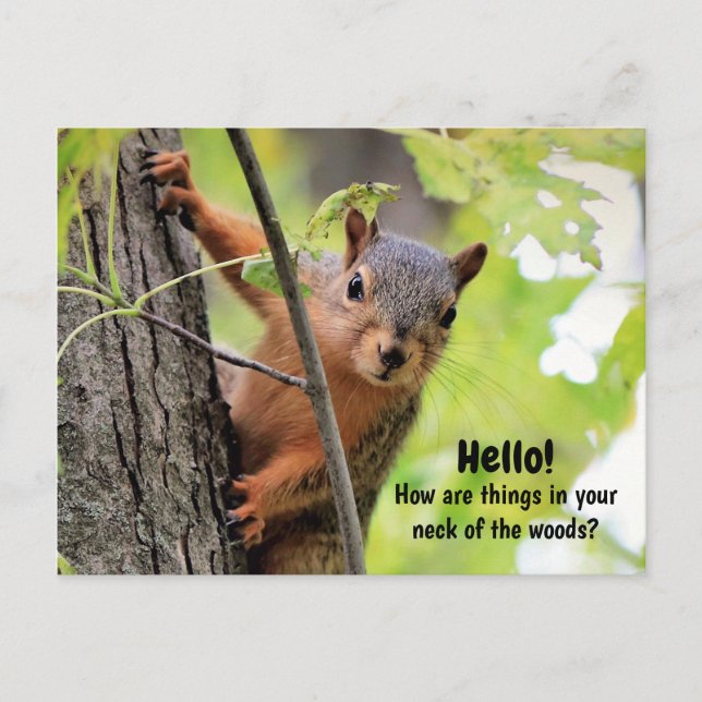 De mon cou des bois à votre carte postale (Devant)