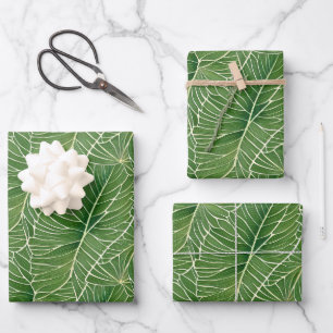 De Papier Cadeau Aquarelle verte Feuille Motif