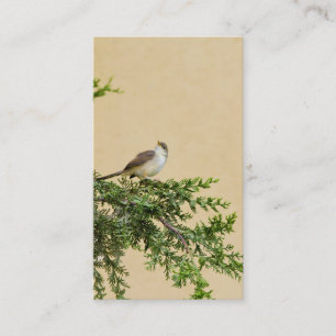 De Placement Carte postale Sparrow