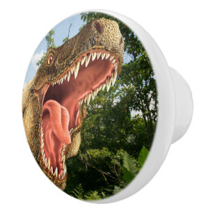 De Porte En Céramique Dinosaure Dinosaure T-Rex Dresser Bouton Tirage