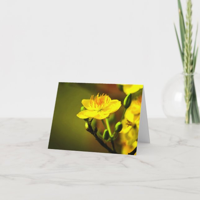 De Remerciements Apricot Blossom Toutes les occasions Carte pour no (Devant)