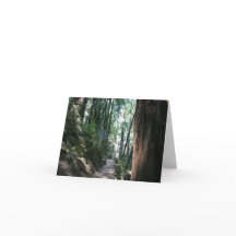 Carte blanche, Muir Woods