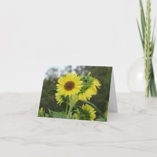 De Remerciements Carte Bright Yellow Sunflower Note