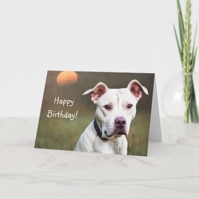 De Remerciements Carte d'anniversaire Pitbull blanche (Devant)