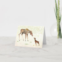 Carte Doberman et Moose