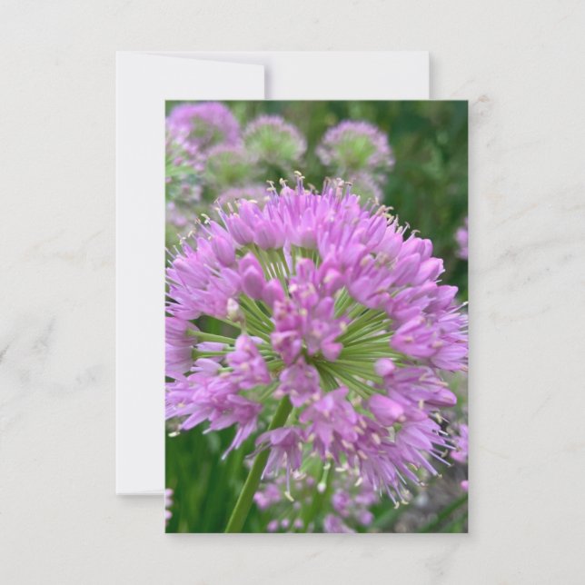 De Remerciements Carte "Fleur lavande légère" en Z (Devant)