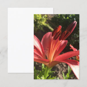 De Remerciements Carte "Fleur Rouge Solide" en Z