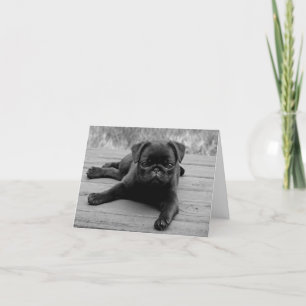 De Remerciements Carte Noir Carlin Chien Chien Chien Blanc Noir Not