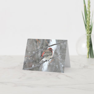 De Remerciements Carte pour notes blanc aux oiseaux neigeux.