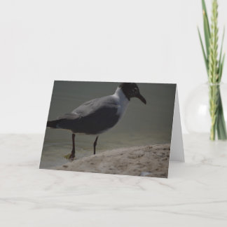 De Remerciements Carte pour notes Seagull