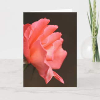 De Remerciements Carte Rose