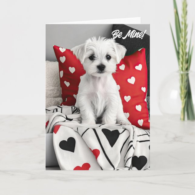 De Remerciements Carte Saint-Valentin Maltese Terrier (Devant)