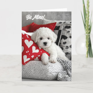 De Remerciements Carte Valentine Puppy Bichon Frise