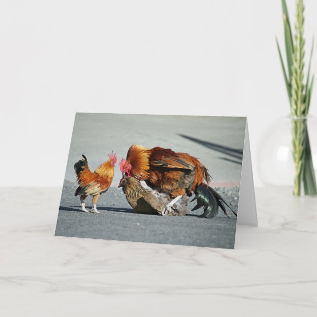 De Remerciements Carte vierge, Rooster (Devant)