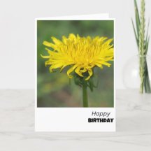 Dandelion délice carte d'anniversaire