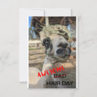 Drôle Carte Alpaca, N'Importe Quelle Occasion Cart