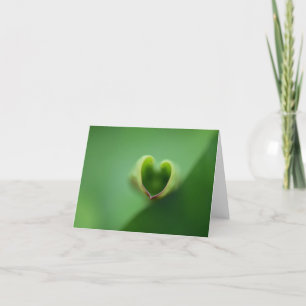De Remerciements Lotus All Occasion Carte pour notes