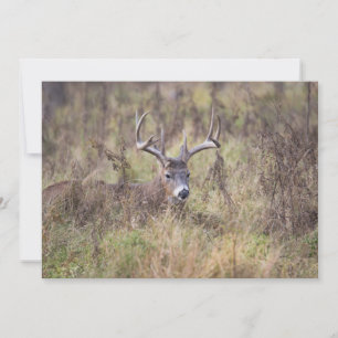 De Remerciements Neuf Point Buck Pose Vers Le Bas Carte pour notes