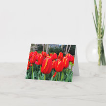 Tulipes rouges - Carte pour notes