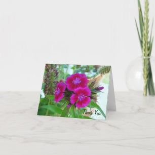De Remerciements Violet Sweet Williams - Floral Carte pour notes