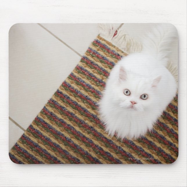 De Souris Chat blanc assis sur le tapis (Devant)