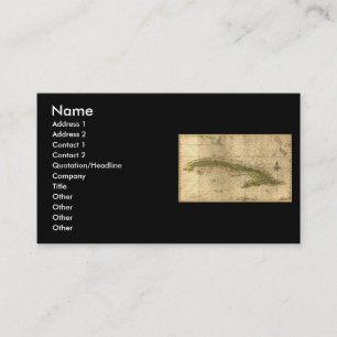 De Visite Carte 1639 historique du Cuba par Joan Vinckeboons