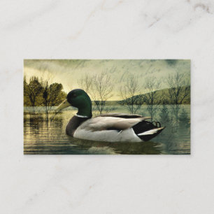 De Visite Carte postale Patinée vintage Mallard Duck