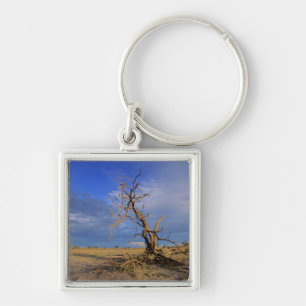 Dead Camel Thorn (Acacia Erioloba) Tree Keychain