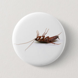 Dead cockroach 2 inch round button