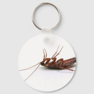Dead cockroach keychain