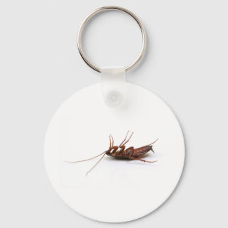 Dead cockroach keychain