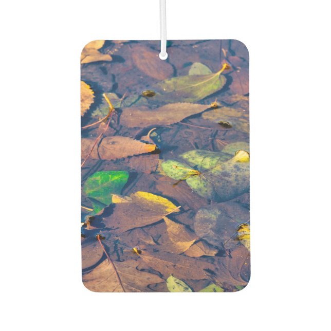 Dead leaves air freshener (Front)