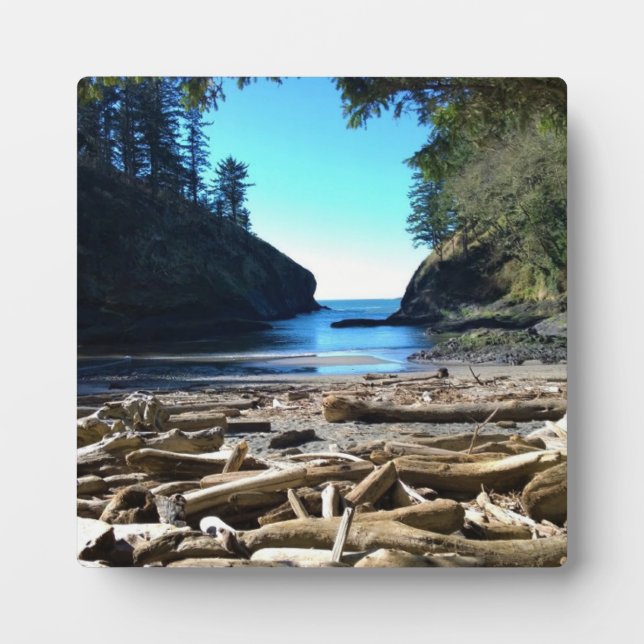Dead Man's Cove, Cape Disappointment, WA Plaque (Front)