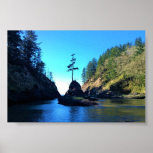 Dead Man's Cove, Cape Disappointment, WA Poster