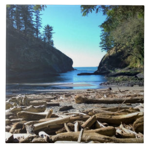 Dead Man's Cove, Cape Disappointment, WA Tile