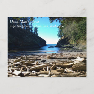 Dead Man's Cove, Cape Disappointment, Washington Postcard