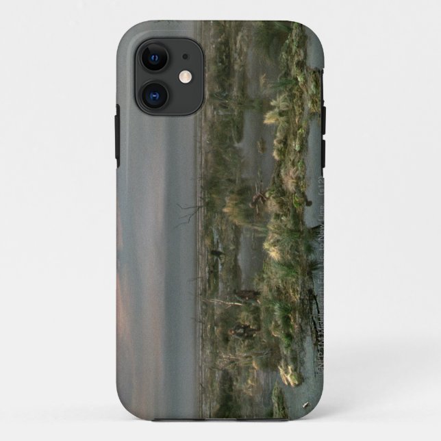 Dead Marshes Case-Mate iPhone Case (Back)