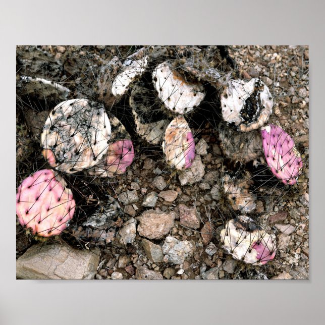 Dead Pink Cactus Poster (Front)