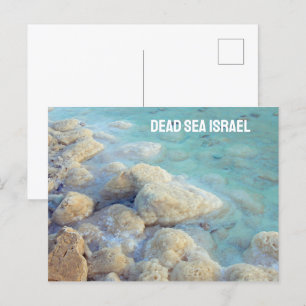 Dead Sea Israel Postcard