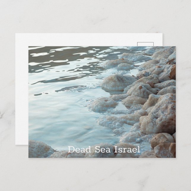 Dead Sea Israel Postcard (Front/Back)