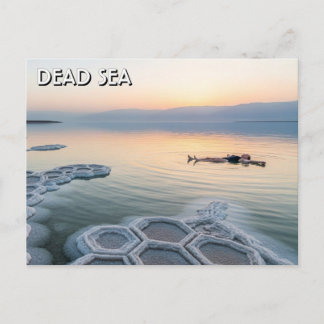 Dead Sea Jordan Travel Postcard