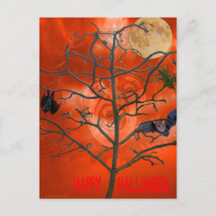 Dead Tree au milieu d'une carte postale Sky Orange