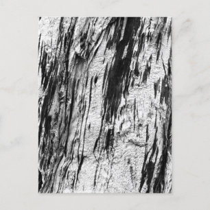 Dead Tree Bark Postcard