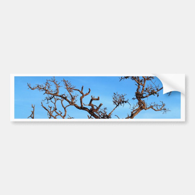 dead tree bumper sticker (Front)