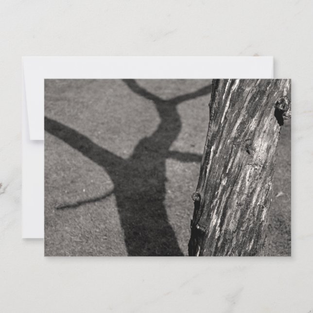 Dead tree Card (Front)