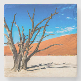 Dead tree in Deadvlei, Namibia Stone Coaster