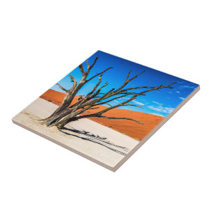 Dead tree in Deadvlei, Namibia Tile